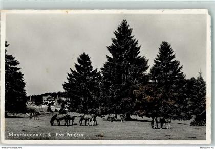 2362 Montfaucon - Pferde auf derWeide - 10396433