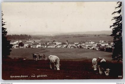 2350 Saignelégier - Gesamtansicht - 50730500