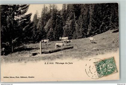 2350 Saignelégier - Juraidylle Kuhherde - 10584542