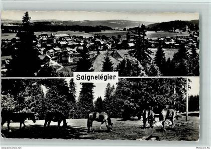 2350 Saignelégier - Pferde - 11051300