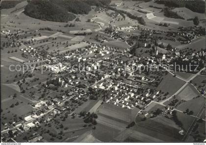 Reiden Fliegeraufnahme