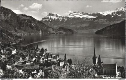 Weggis Vierwaldstaettersee Weggis
