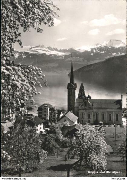 Weggis Vierwaldstaettersee Weggis