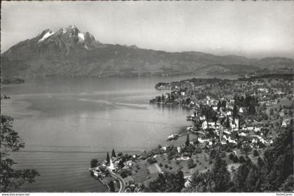 Weggis Vierwaldstaettersee Weggis Pilatus