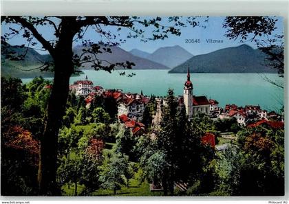6354 Vitznau - 10203050