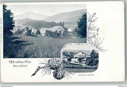 2037 Montmollin 1900 - Pension Squire, Tannenzapfen , Erhaltung I AK - 13208768