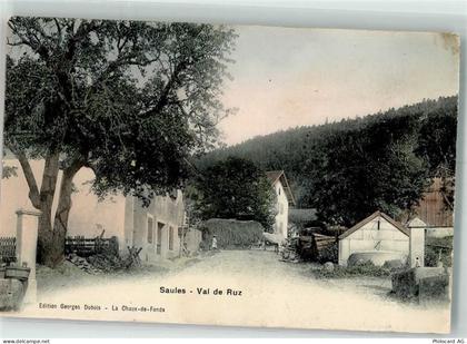 2063 Saules - Val de Ruz - 13514455