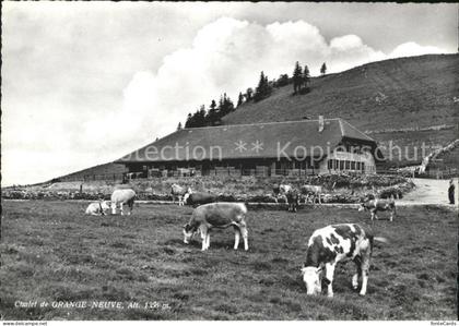 Hauterive FR Chalet de Grangeneuve Rinderherde