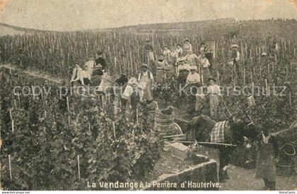 Hauterive NE Weinernte Pferdefuhrwerk