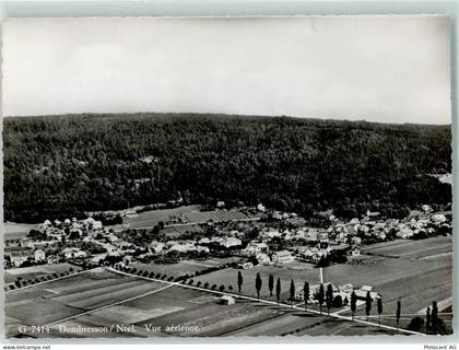 2056 Dombresson Gebrauchsspuren Fliegeraufnahme - 10305744