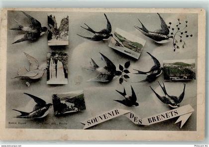 2416 Les Brenets 1907 - Schwalben Fotos - 13172670