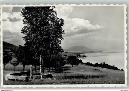 2028 Vaumarcus 1950 Foto AK Camp de Vaumarcus - 38067642