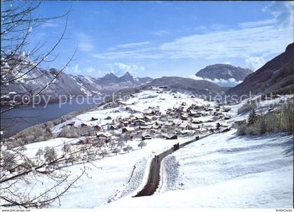 Emmetten Panorama