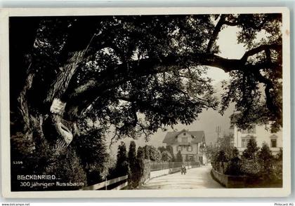 6375 Beckenried - 10206888