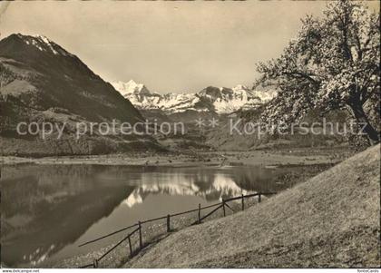 Giswil Wilen Sarnersee Berner Alpen