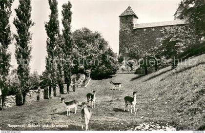 Rapperswil -Jona SG Schloss und Hirschpark