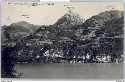 Walensee Wallensee - Walensee mit Obstalden und Filzbach - 51138166