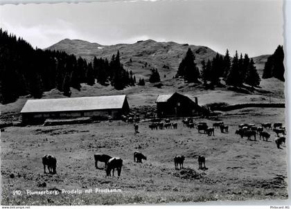 8890 Flums - Prodalp , Kuhweide - 50775249