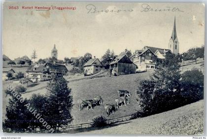 9633 Hemberg - 51282304