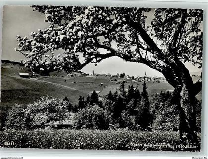 9633 Hemberg - Kurort Hemberg Obertoggenburg blühender Bäum - 11064709