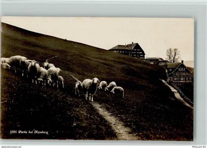 9633 Hemberg - Partie bei Hemberg Schafherde - 10148419
