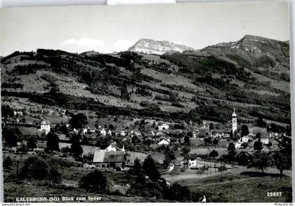 8722 Kaltbrunn - Gesamtansicht, Speer - 50746940