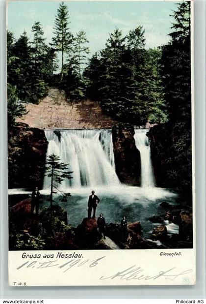 9650 Nesslau 1906 - Giesenfall Grus aus Nesslau - 11084026