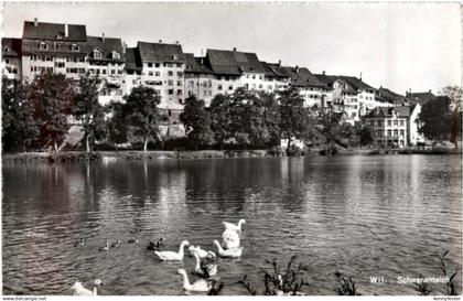 Wil - Schwanenteich