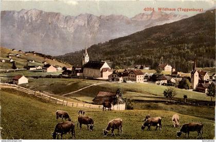 Wildhaus