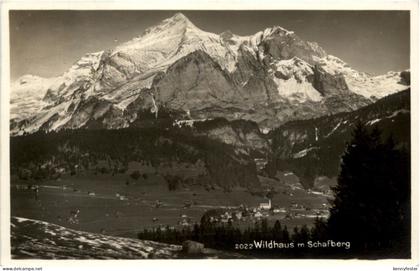 Wildhaus