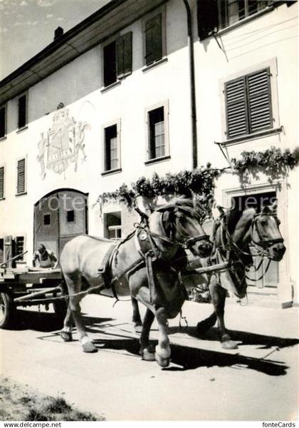 Neunkirch SH Bauernhof Pferdewagen