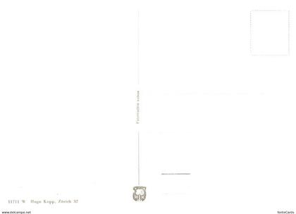 Thayngen SH Panorama