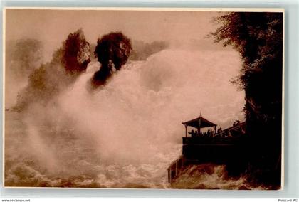 8212 Neuhausen am Rheinfall KEINE AK - 10589331