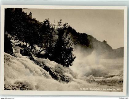 8212 Neuhausen am Rheinfall - Rheinfall - 10309382