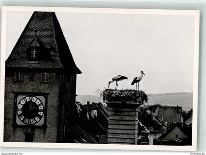 8213 Neunkirch - Storchennest - 39699497