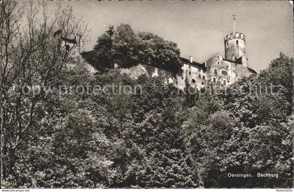 Oensingen Bechburg