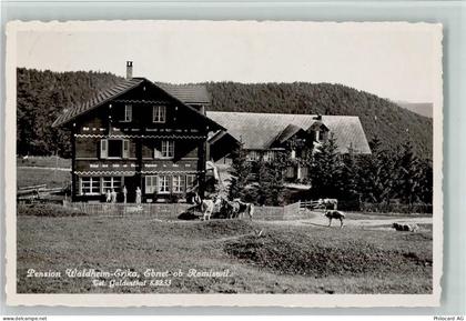 4719 Ramiswil - Pension Waldheim-Erika Rindvieh Ebnet - 13198962