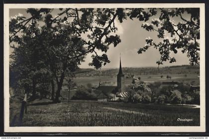 AK Oensingen, Ortsansicht mit Kirche von einer Wiese aus