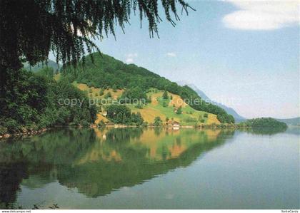 Lauerz Schwyz SZ Panorama