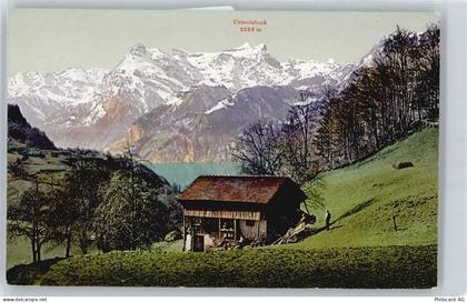 6443 Morschach - Urirotstock, Vierwaldstättersee - 50733422