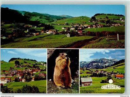 8843 Oberiberg - Murmerltier - 40161349