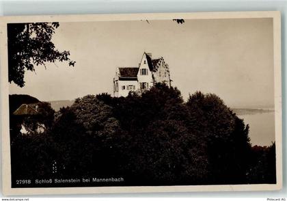 8268 Mannenbach-Salenstein - Schloss Salenstein - 10625533