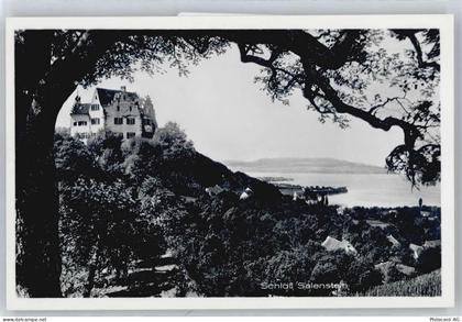 8268 Mannenbach-Salenstein - Schloss Salenstein - 50813306