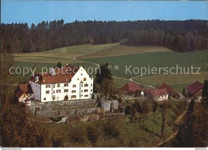 Stettfurt Schloss Sonnenberg Fliegeraufnahme