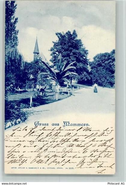 8265 Mammern 1900 - 10257608