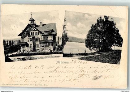 8265 Mammern 1905 - 13249499