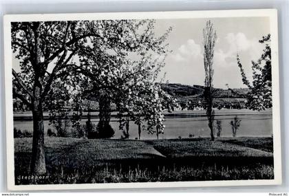 8266 Steckborn - 51276418