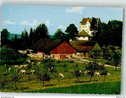 9507 Stettfurt Foto AK Schloss Sonnenberg - 38071879