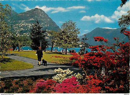 Carte Postale - Suisse - TI Tessin - Lugano - Lugano Quai - CPM - Carte Neuve - Voir Scans Recto-Verso - Poscard - Carta