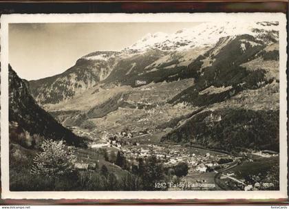Faido Panorama